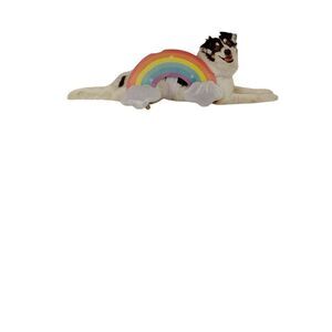 Rainbow Dog Costume Size M